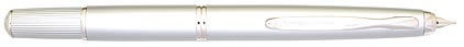 Stylo plume Fermo gris acier de Pilot